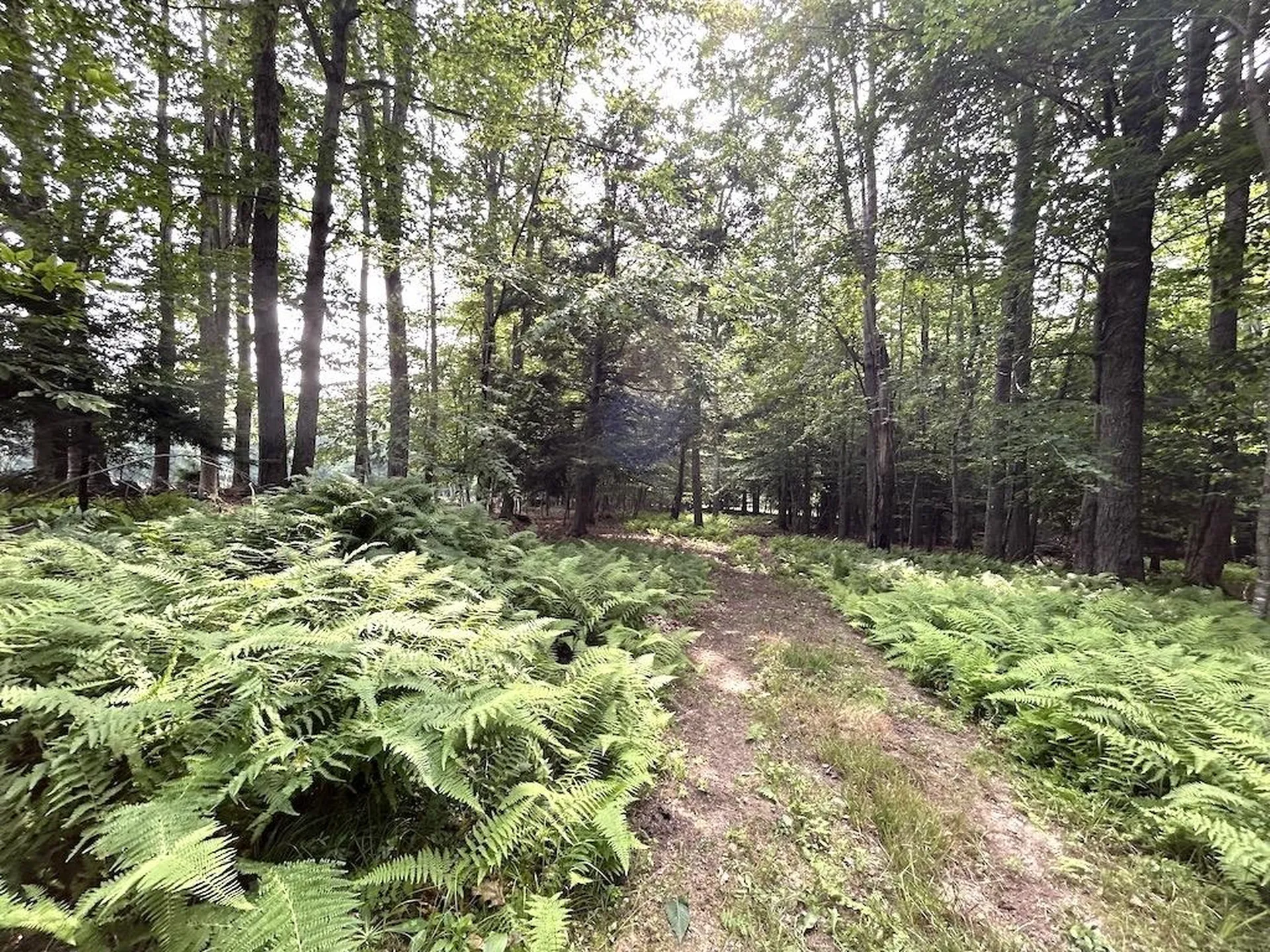 219 Gilmore Pond Road Jaffrey NH 03452