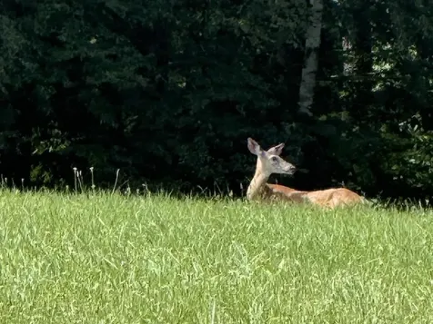 219 Gilmore Pond Road Jaffrey NH 03452