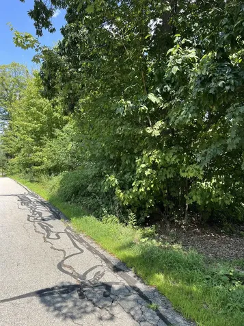 4-58 Dow Road Hollis NH 03049