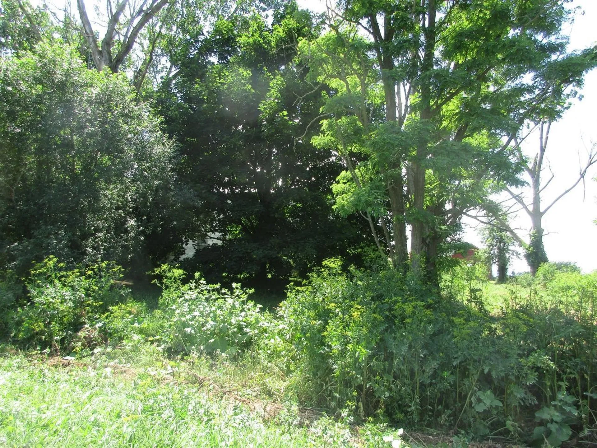 2290 Hemenway Hill Road Shoreham VT 05770