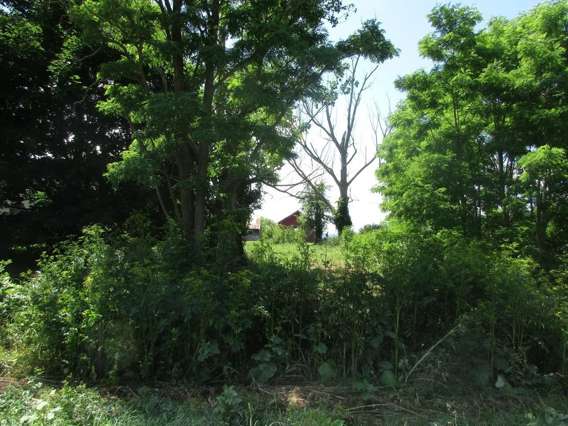 2290 Hemenway Hill Road Shoreham VT 05770