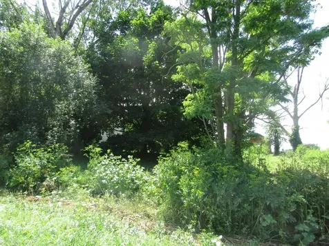 2290 Hemenway Hill Road Shoreham VT 05770