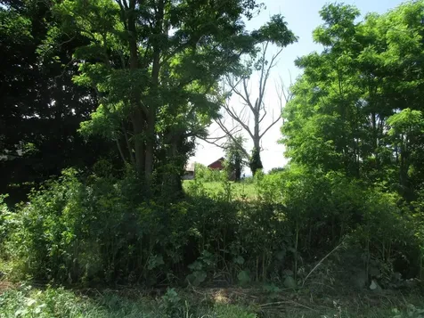 2290 Hemenway Hill Road Shoreham VT 05770