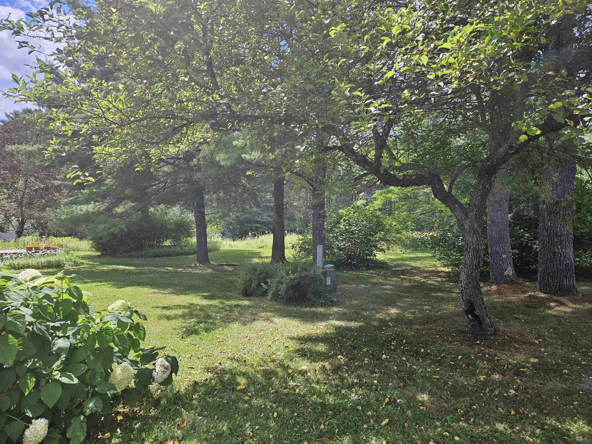 55 Norwich Meadows Norwich VT 05055