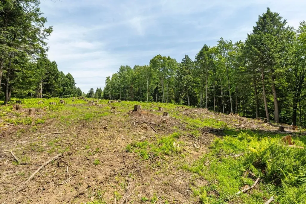 00 Baird Road Stowe VT 05672