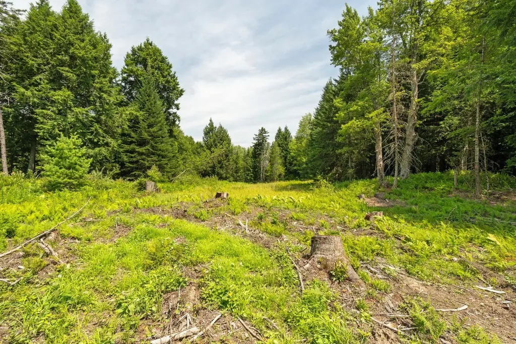 00 Baird Road Stowe VT 05672