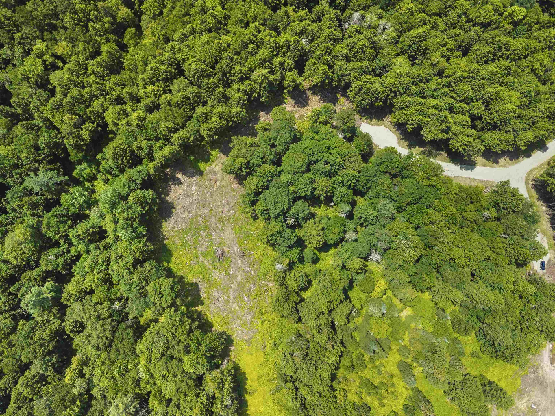 00 Baird Road Stowe VT 05672