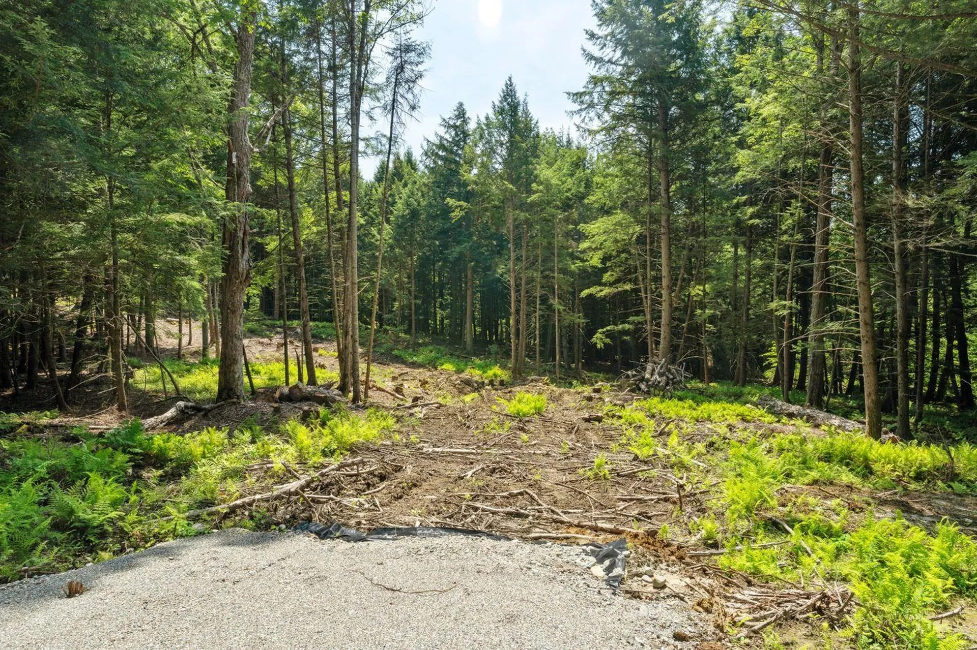 00 Baird Road Stowe VT 05672