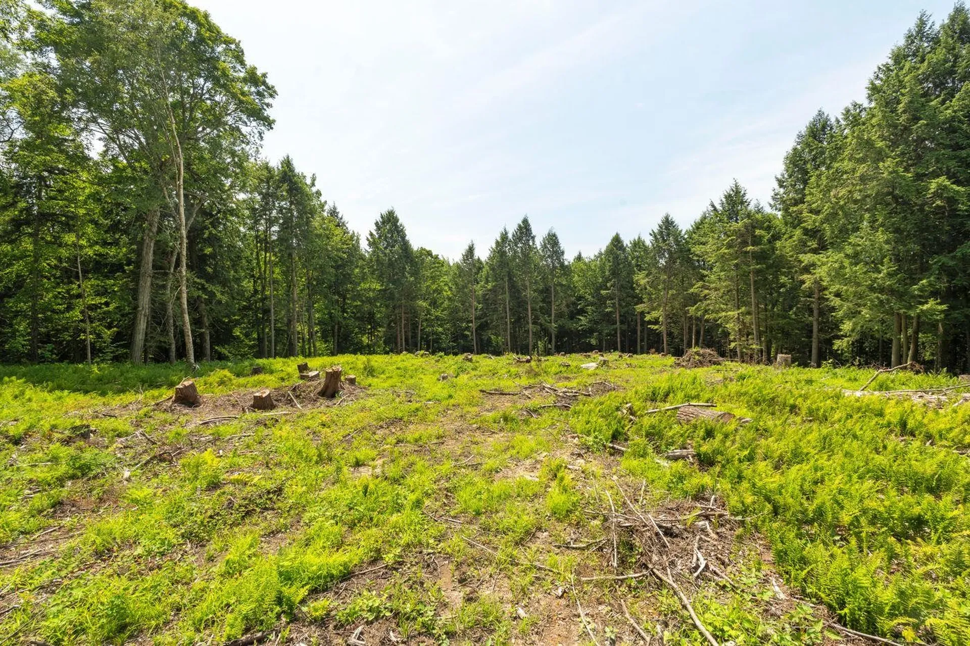 00 Baird Road Stowe VT 05672