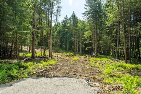 00 Baird Road Stowe VT 05672