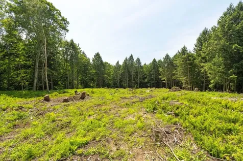 00 Baird Road Stowe VT 05672