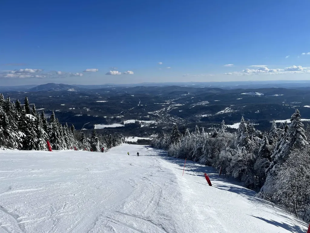 929 Packer Road Mount Holly VT 05758