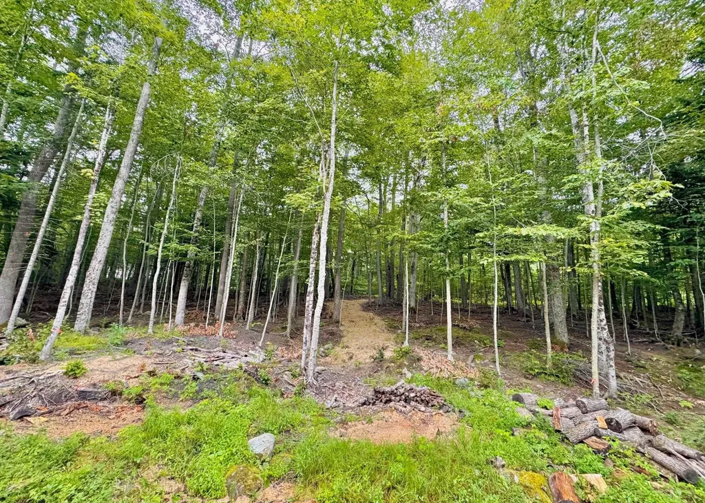 64 High Pond Road Grantham NH 03753