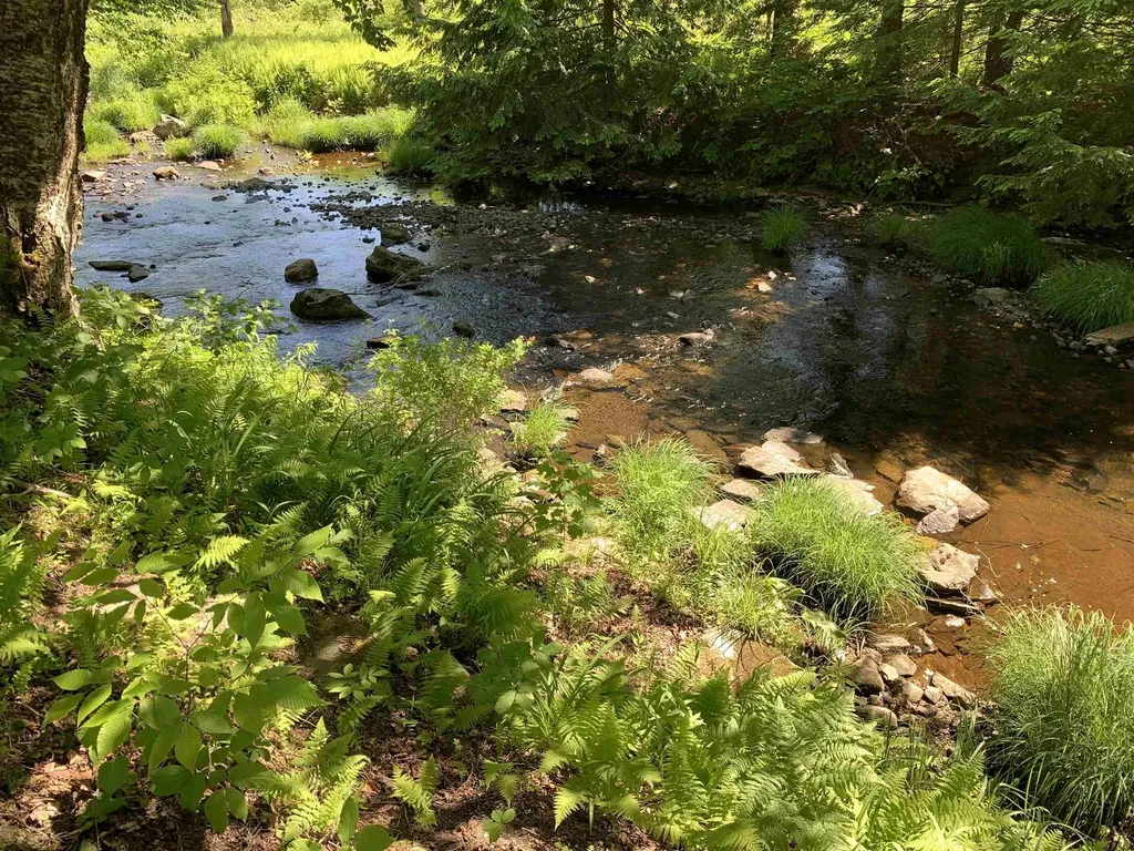 1410 Haven Hill Road Londonderry VT 05155