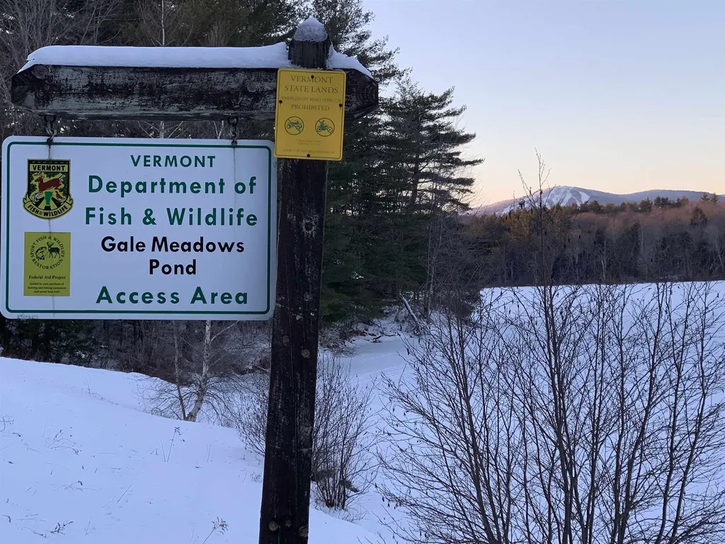 1410 Haven Hill Road Londonderry VT 05155