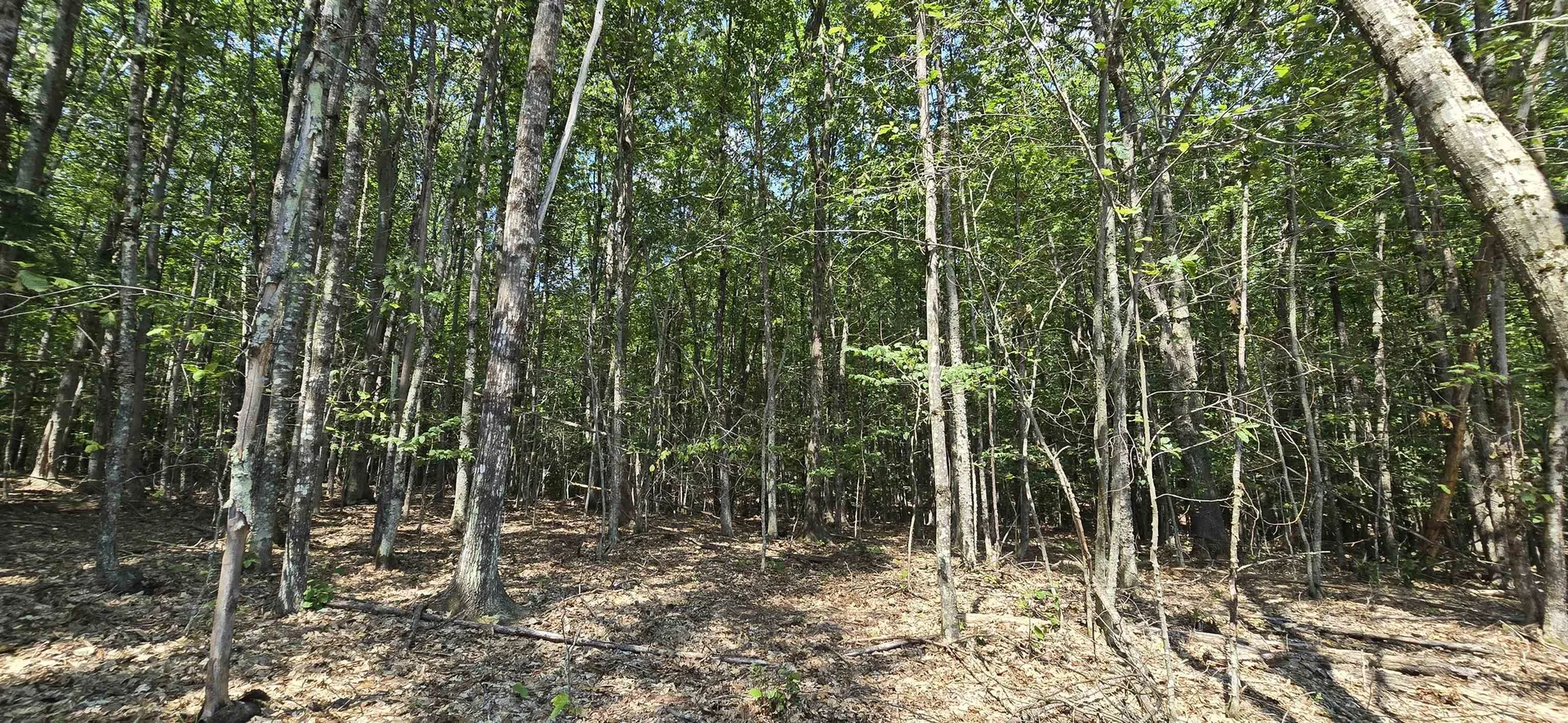 11c-2 Nh Route140 Alton NH 03809