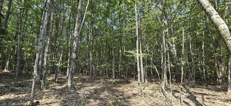 11c-2 Nh Route140 Alton NH 03809