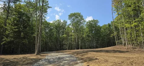 11c-2 Nh Route140 Alton NH 03809