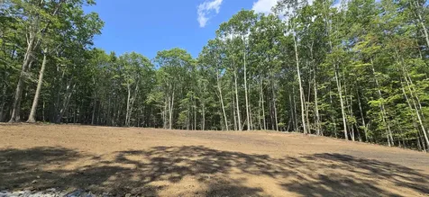 11c-2 Nh Route140 Alton NH 03809