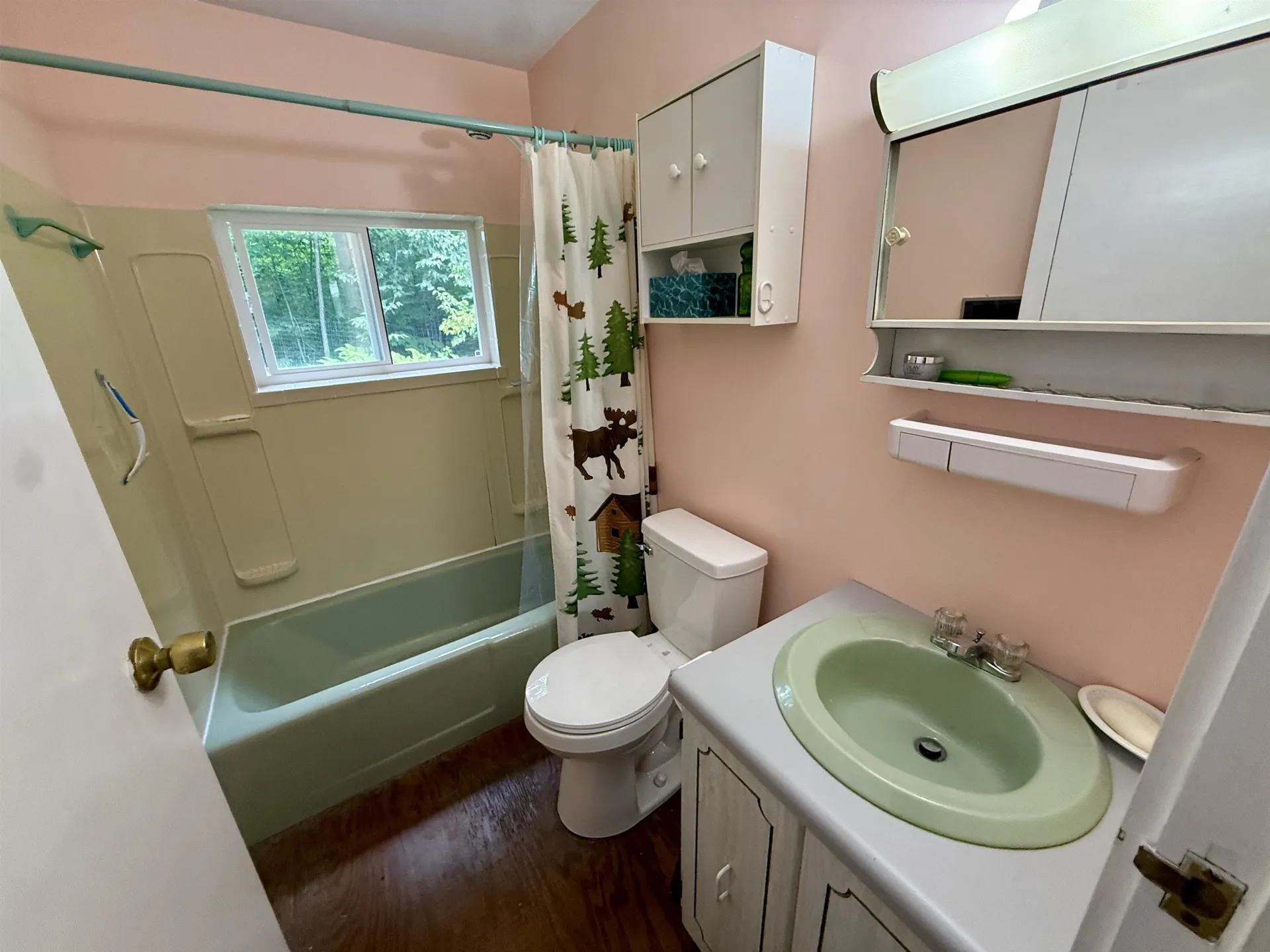 22 Birchview Lane Rumney NH 03266