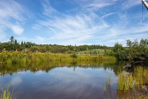 902 Vermont Route 16 Hardwick VT 05843