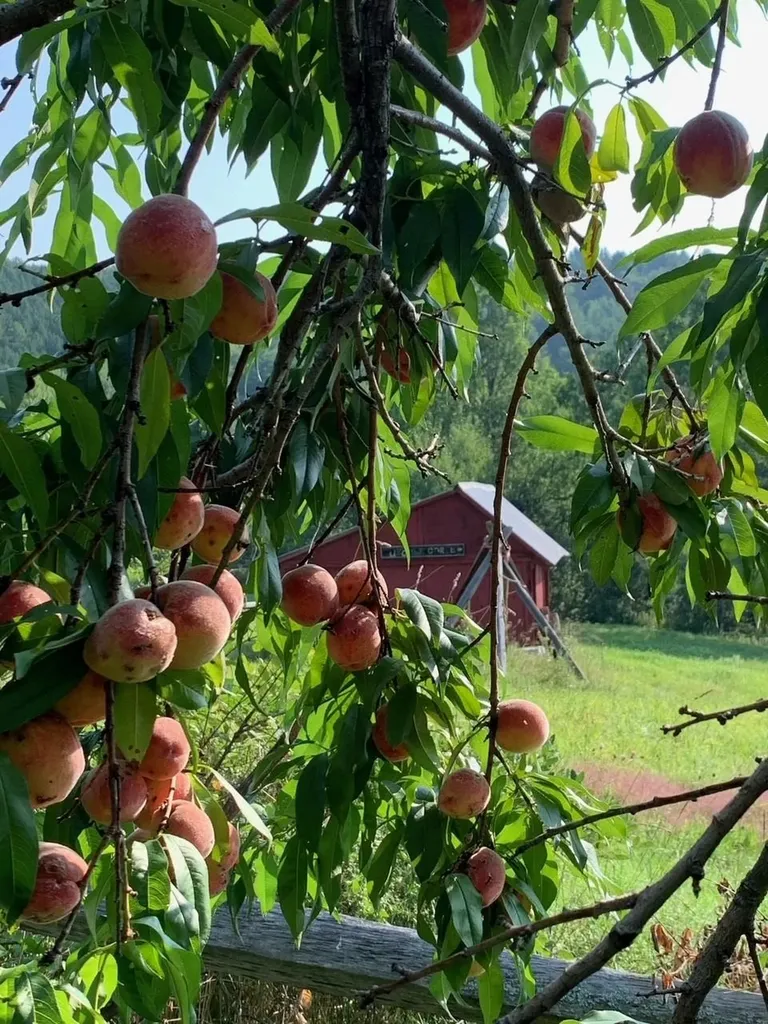 593 Red Barn Road Hartford VT 05001