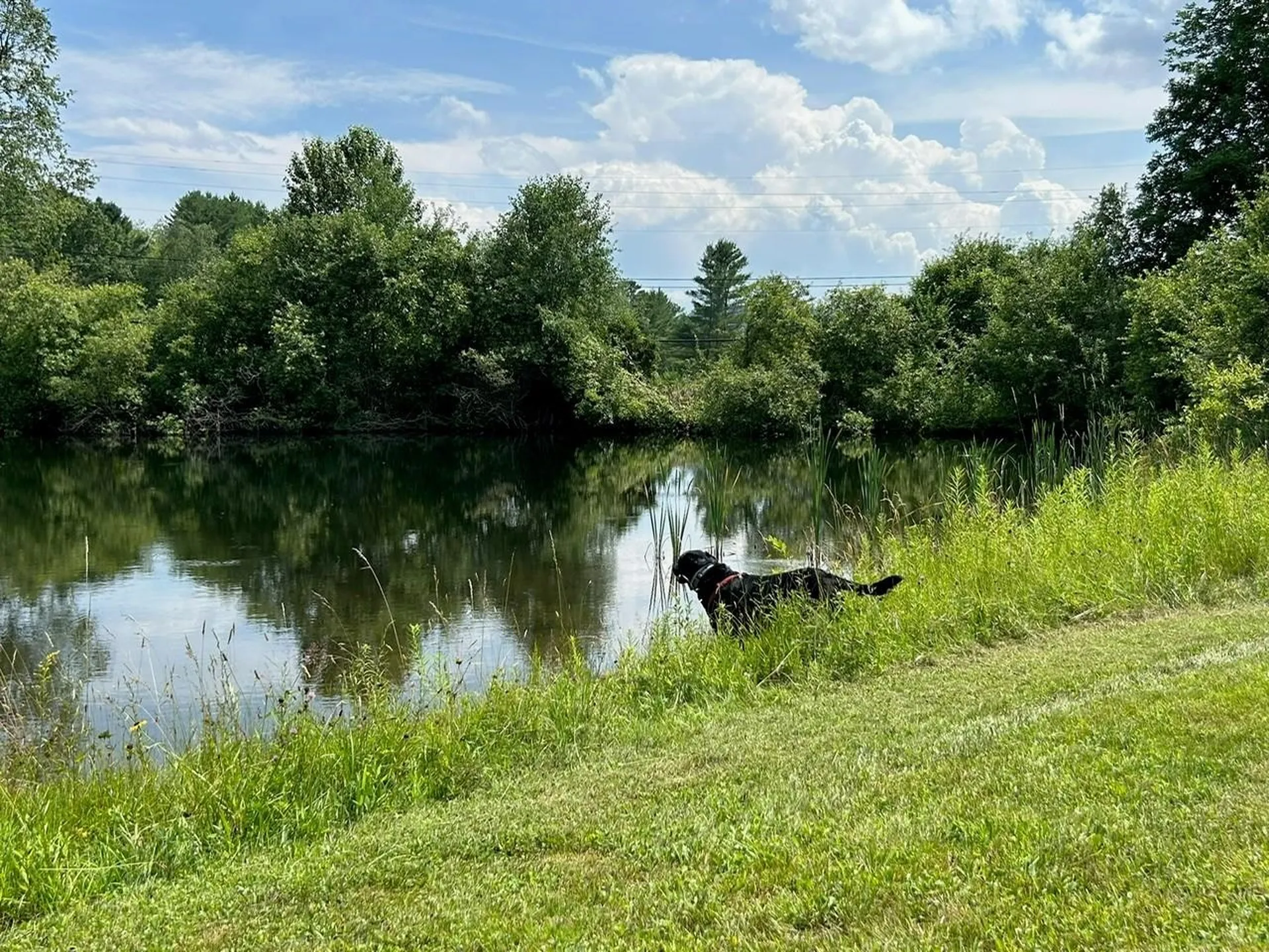 593 Red Barn Road Hartford VT 05001