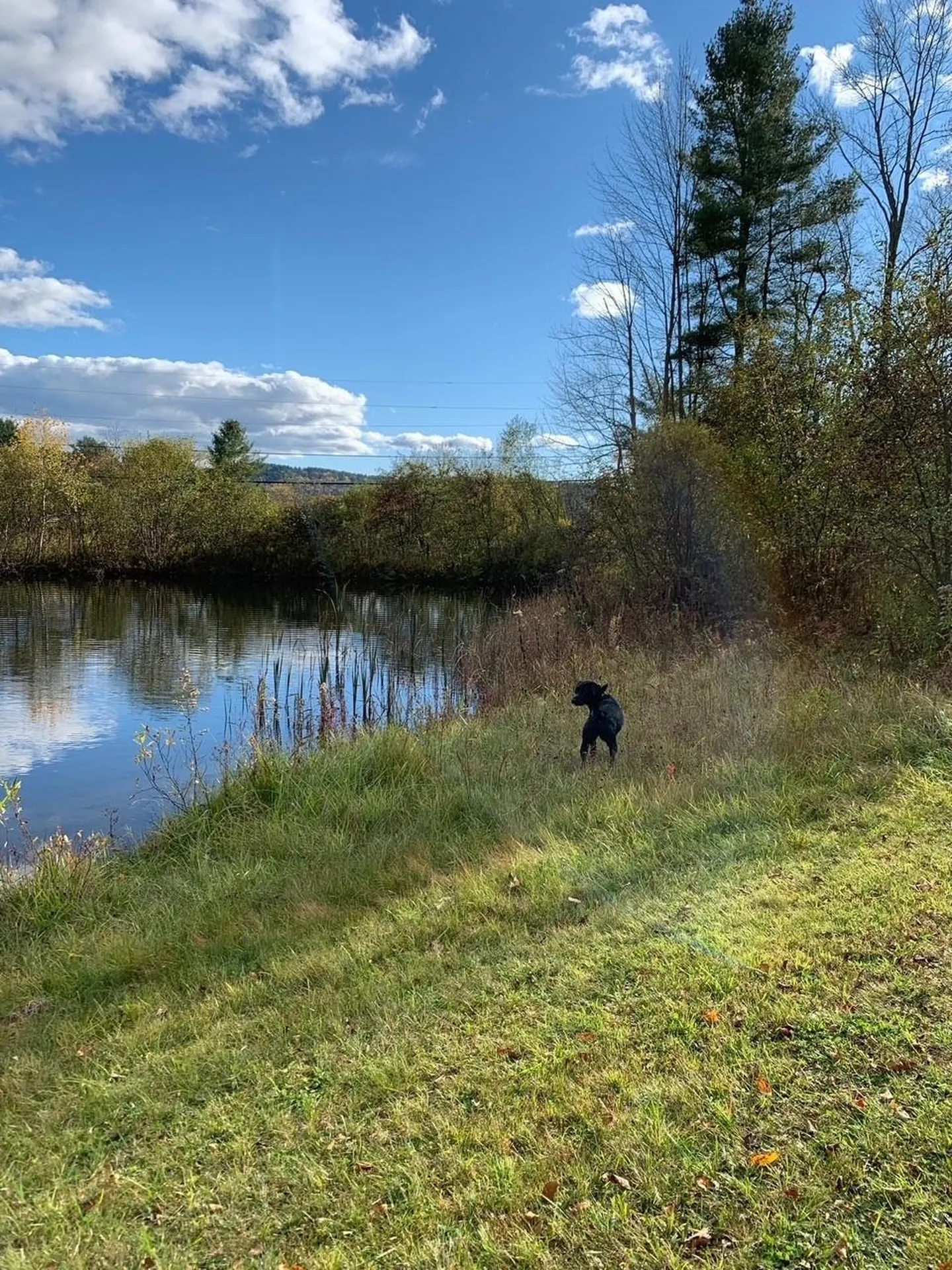 593 Red Barn Road Hartford VT 05001