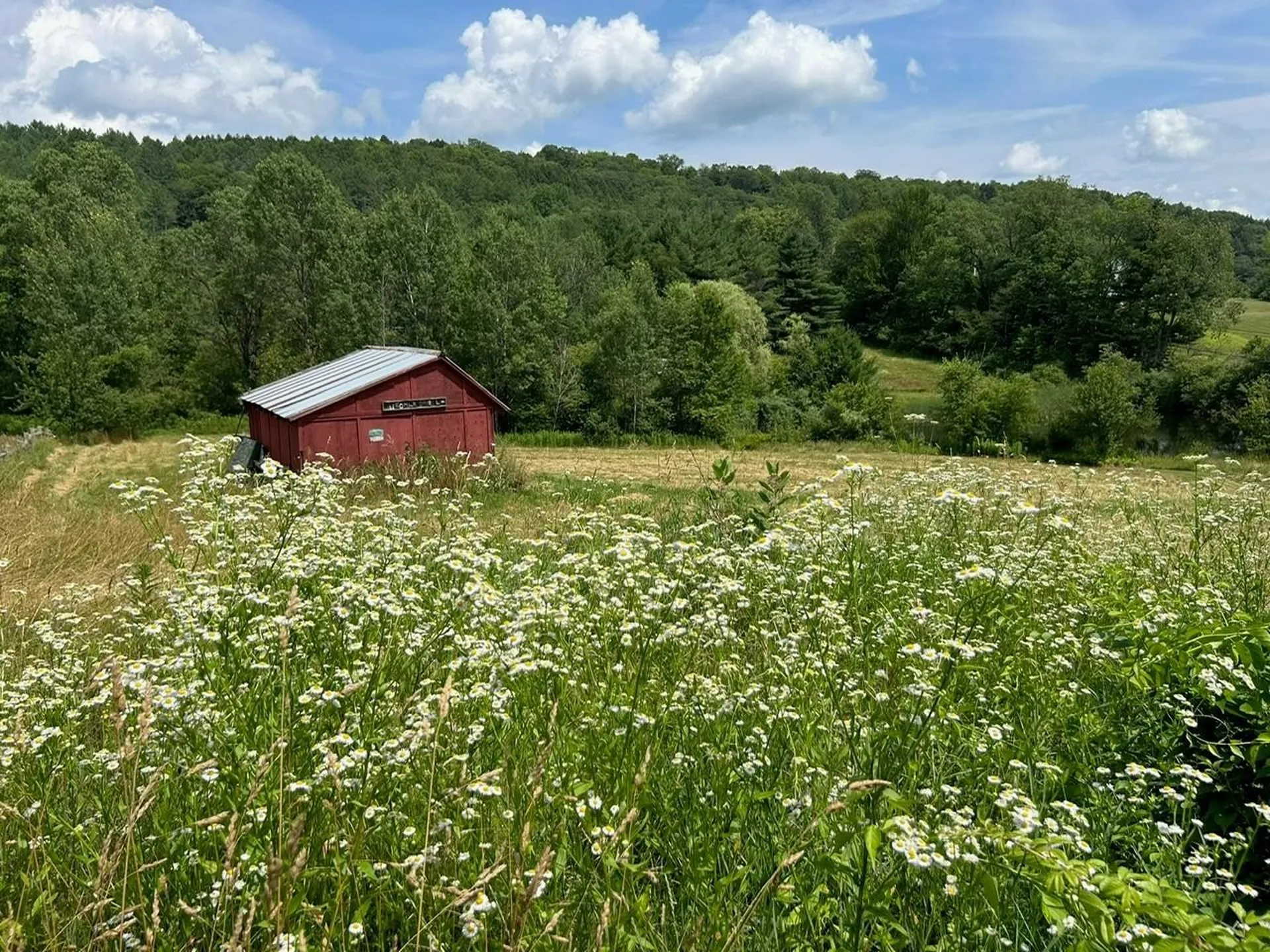 593 Red Barn Road Hartford VT 05001