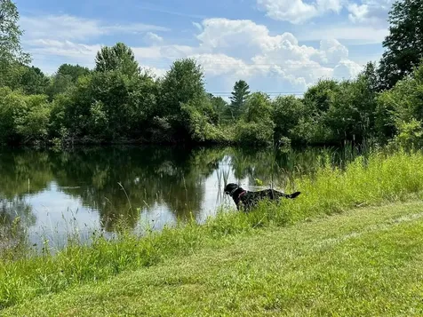 593 Red Barn Road Hartford VT 05001