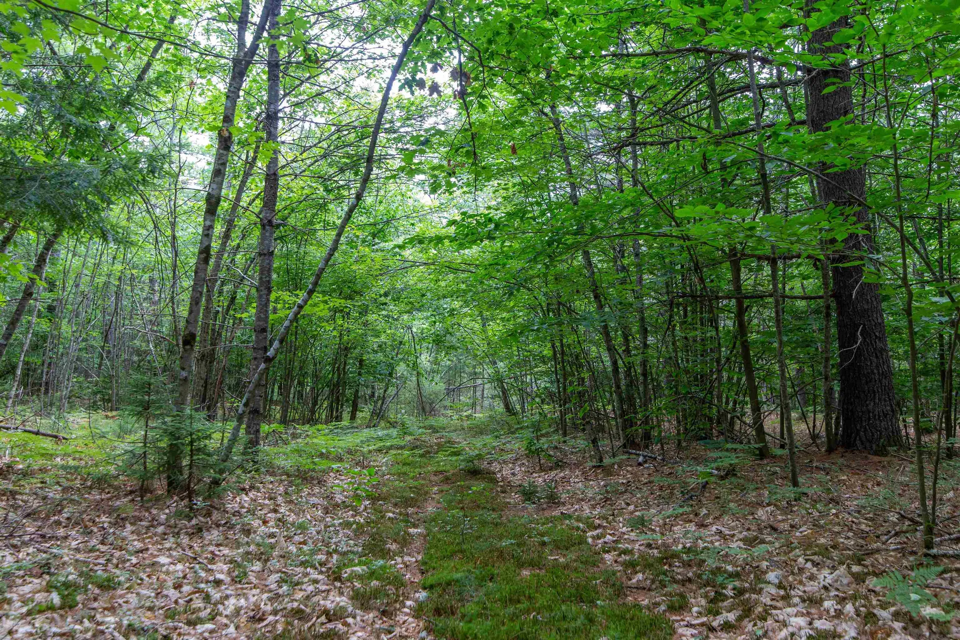 00 Alden Washburn Drive Tamworth NH 03817