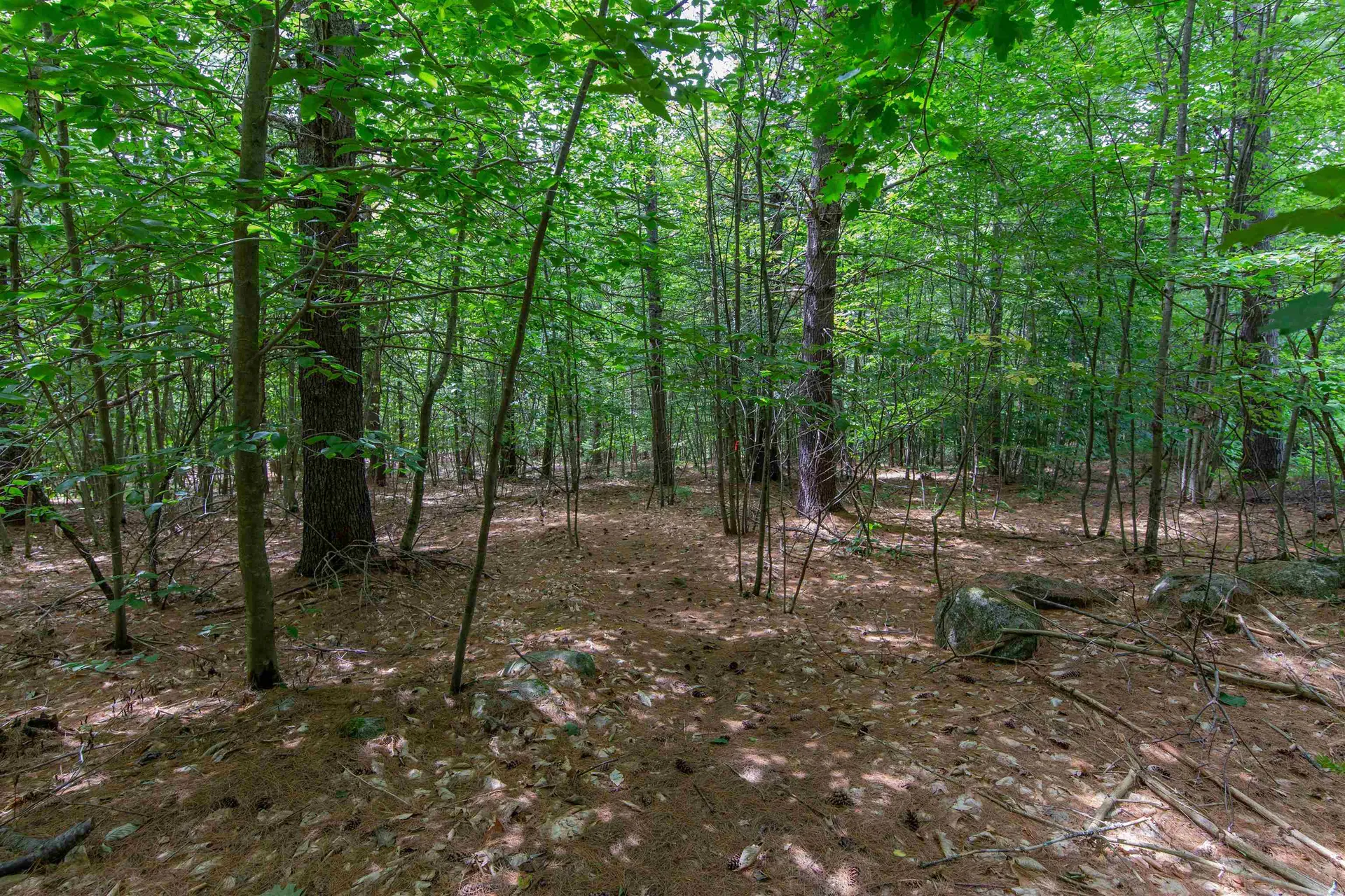 00 Alden Washburn Drive Tamworth NH 03817