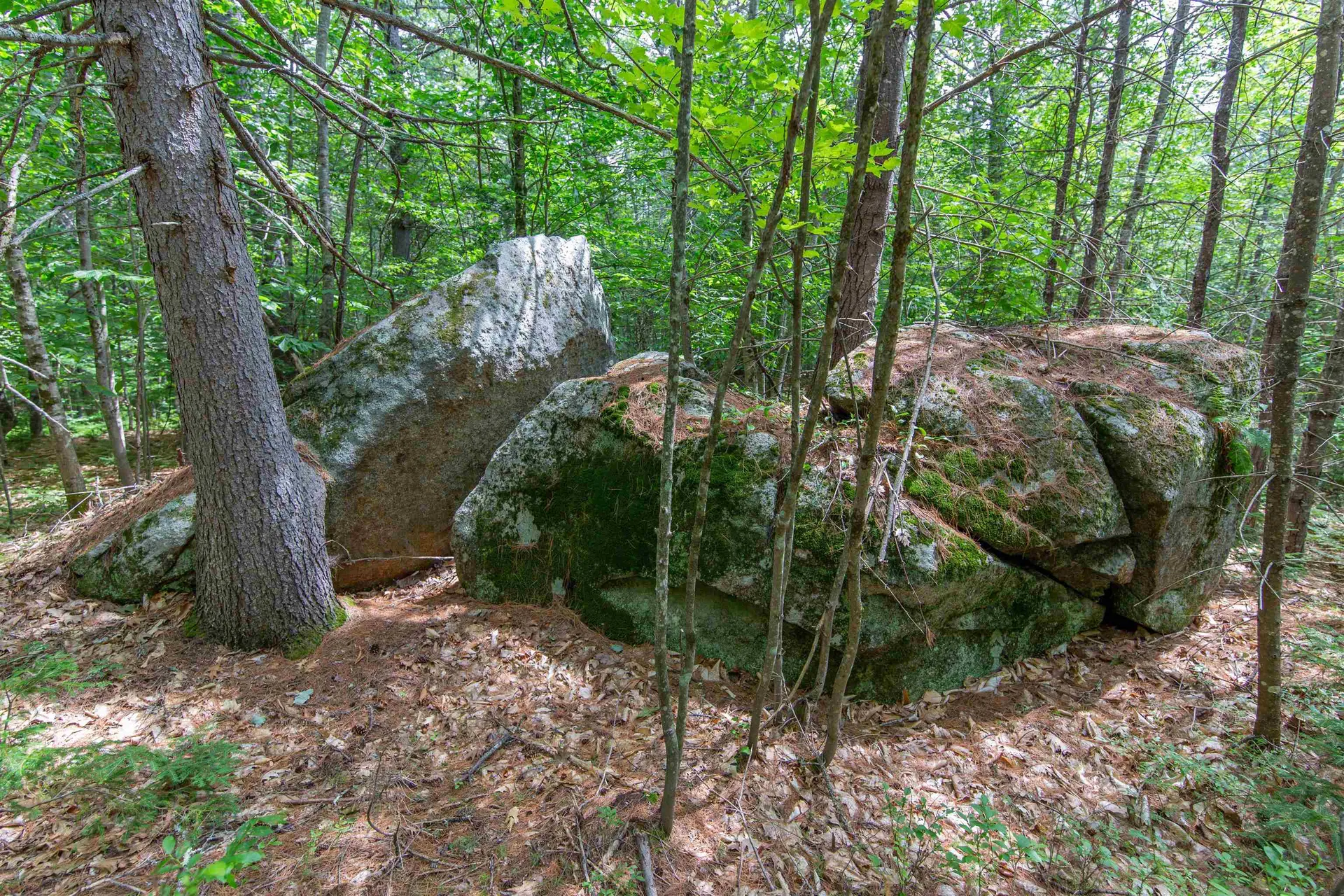 00 Alden Washburn Drive Tamworth NH 03817