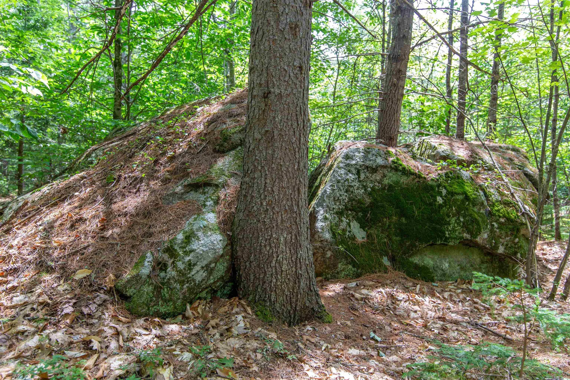 00 Alden Washburn Drive Tamworth NH 03817