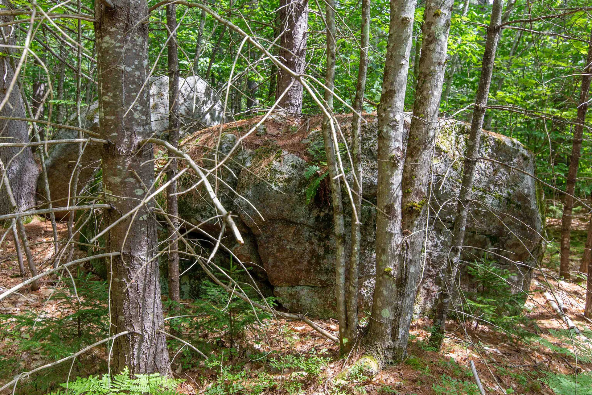 00 Alden Washburn Drive Tamworth NH 03817