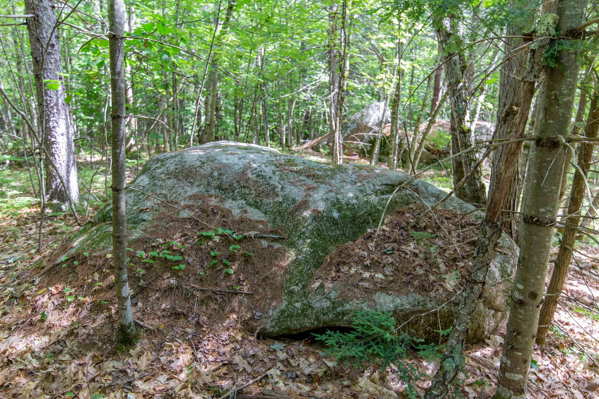 00 Alden Washburn Drive Tamworth NH 03817