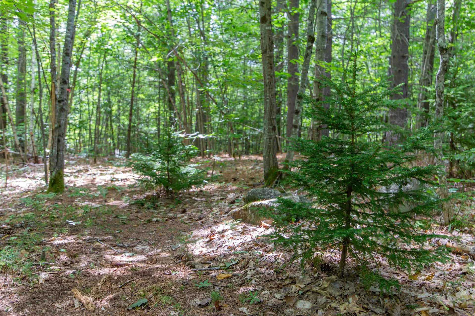 00 Alden Washburn Drive Tamworth NH 03817