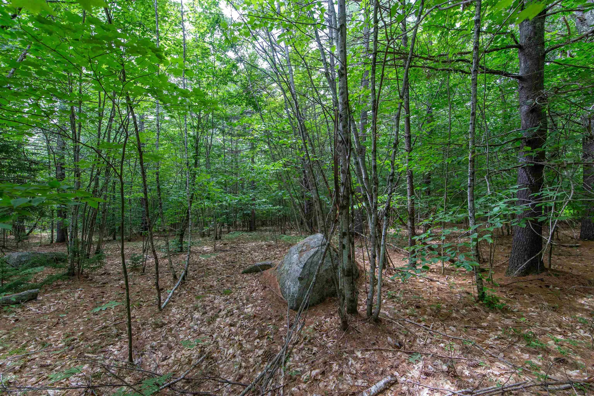 00 Alden Washburn Drive Tamworth NH 03817