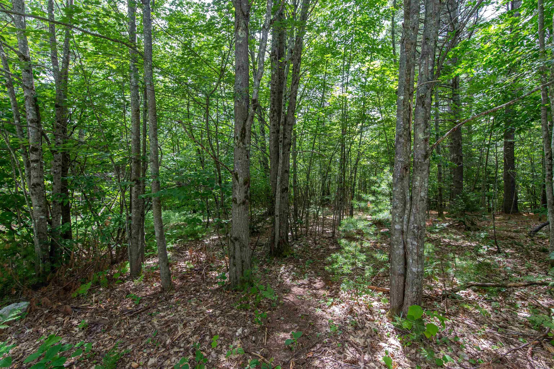 00 Alden Washburn Drive Tamworth NH 03817