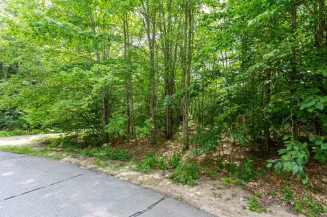 00 Alden Washburn Drive Tamworth NH 03817