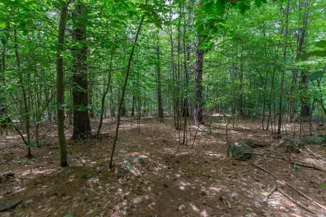 00 Alden Washburn Drive Tamworth NH 03817