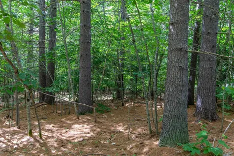 00 Alden Washburn Drive Tamworth NH 03817