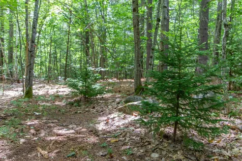 00 Alden Washburn Drive Tamworth NH 03817