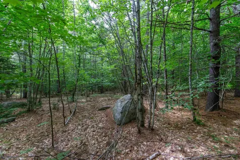 00 Alden Washburn Drive Tamworth NH 03817