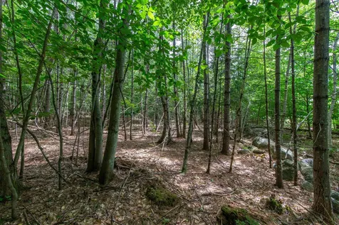 00 Alden Washburn Drive Tamworth NH 03817