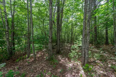 00 Alden Washburn Drive Tamworth NH 03817