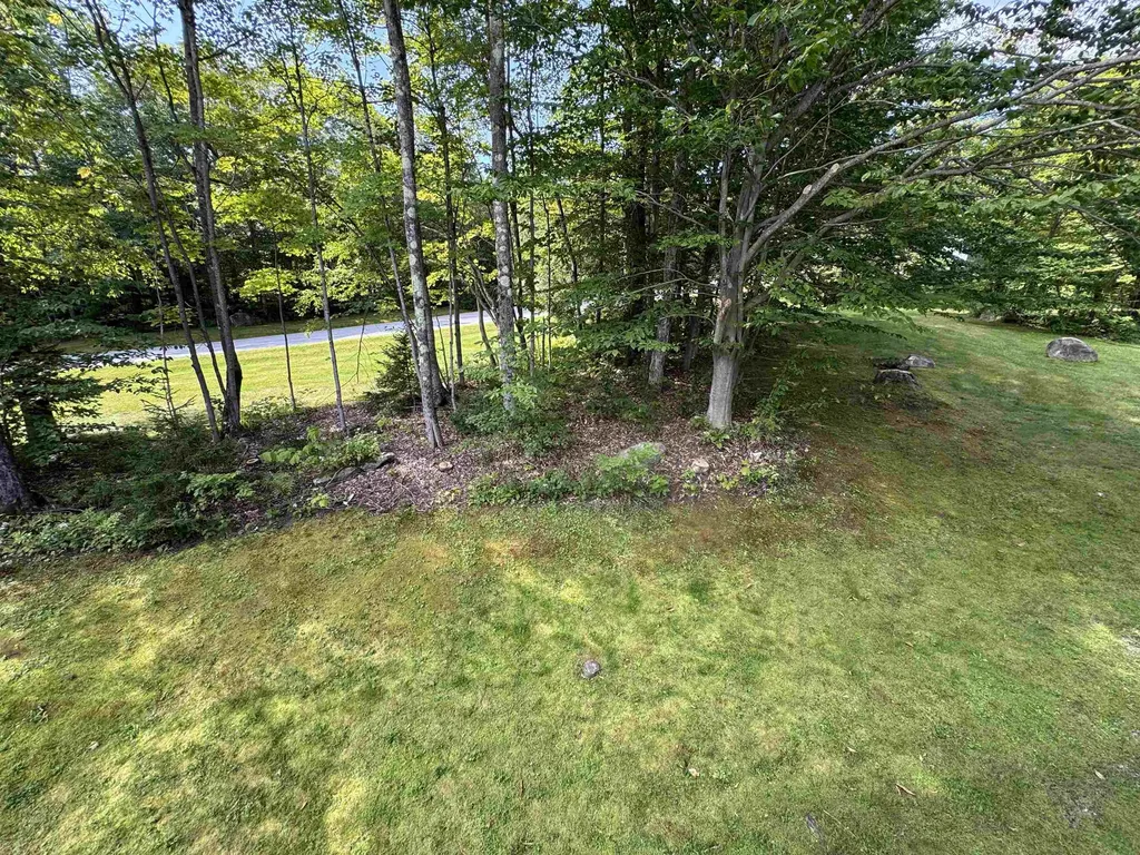 5F Polar Bear North Dover VT 05356