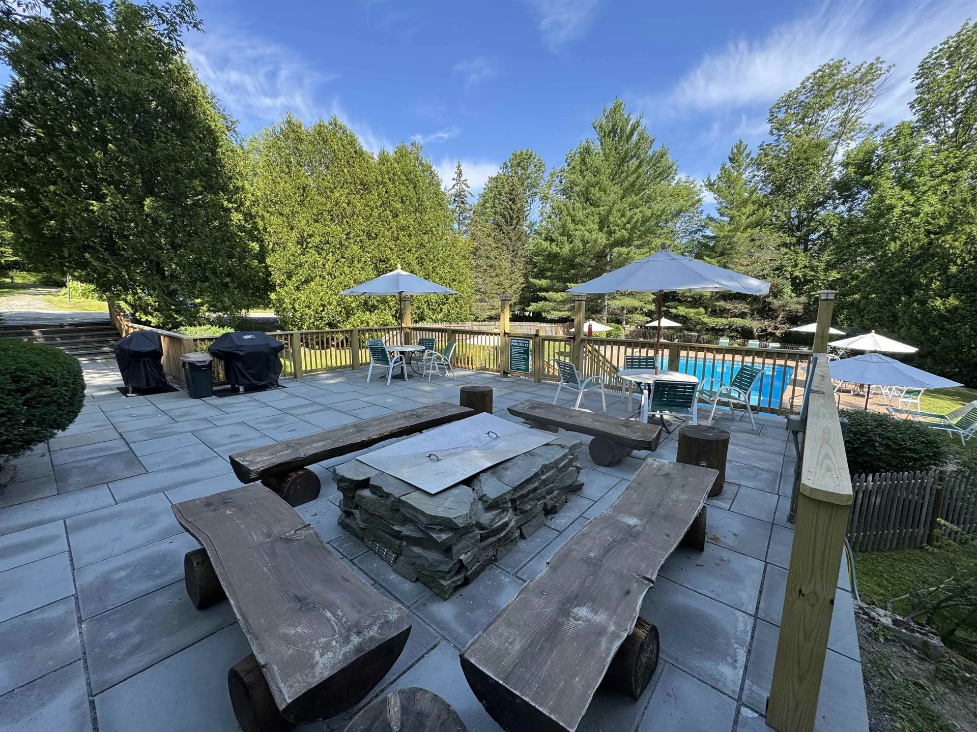 5F Polar Bear North Dover VT 05356