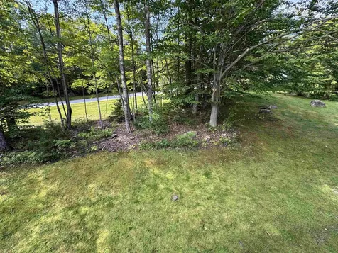 5F Polar Bear North Dover VT 05356