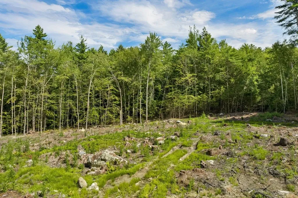 267-23 Winnipesaukee Drive Wolfeboro NH 03894